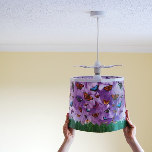 Butterflies, combo-image-1