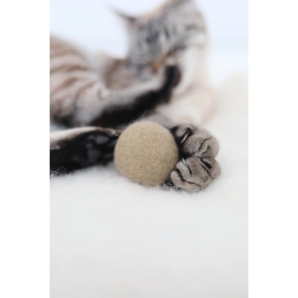 Kassi mänguasjad 3tk komplektis Globo Nougat - MiaCara-image-1