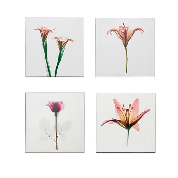 Set 4 dřevěných obrazů Flowers, 40x40 cm