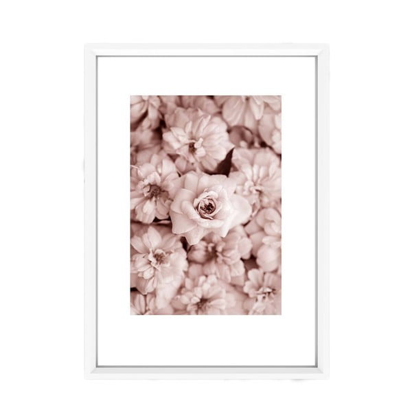 Pildi Roosad roosades, 30 x 20 cm Classic Roses - Piacenza Art