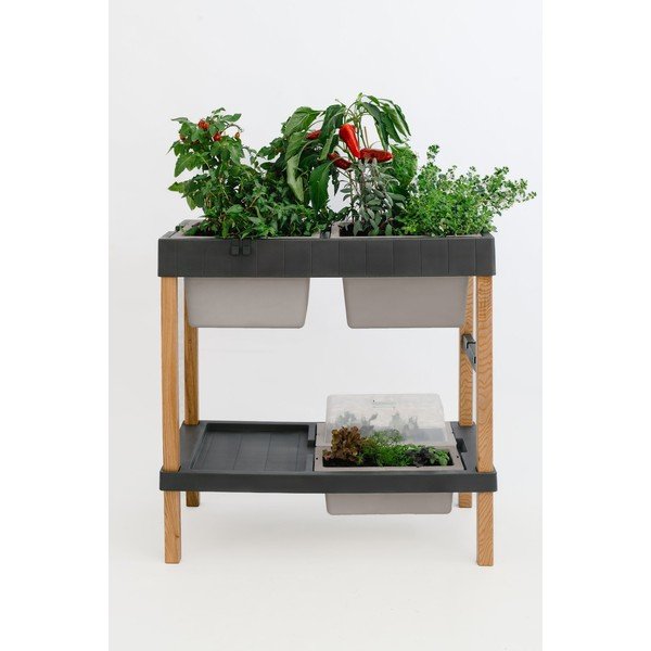 Kõrgendatud taimekast - Plastia-image-4