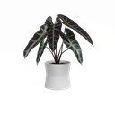 Keraamiline lillepott ø 14 cm Diana - Artevasi