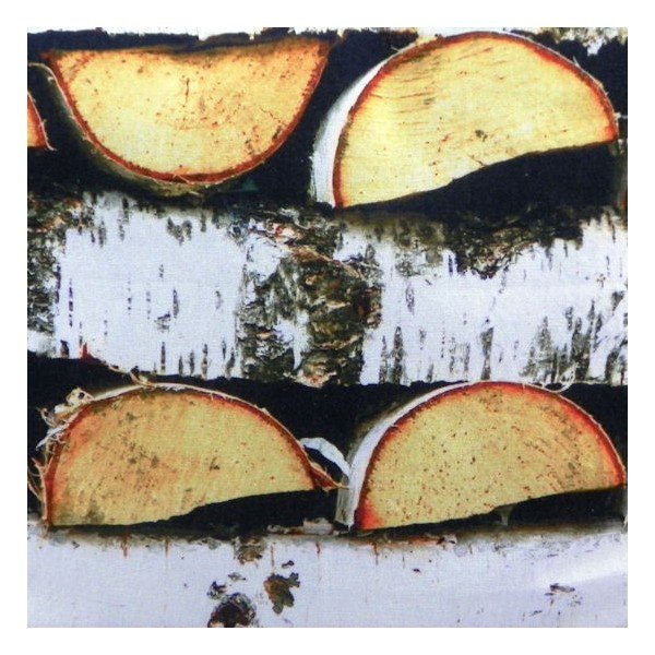 Polštář Birch 50x50 cm-image-1