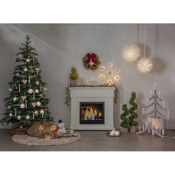 Kerge pärg Thuja - Star Trading-image-3