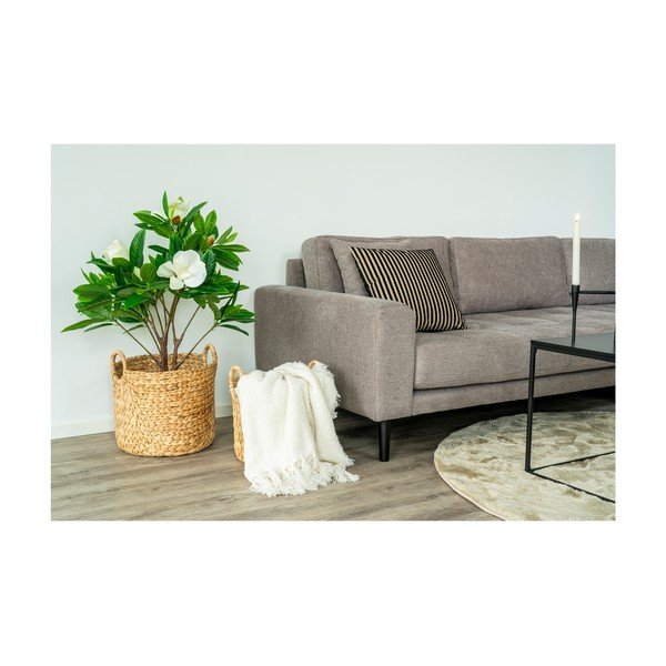 Tekk 164x127 cm Salir - House Nordic-image-1