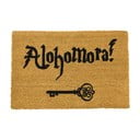 Looduslik kookosmatt , 40 x 60 cm Alohomora - Artsy Doormats