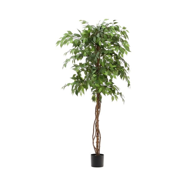 Kunstlik viigipuu (kõrgus 180 cm) Ficus - Kave Home