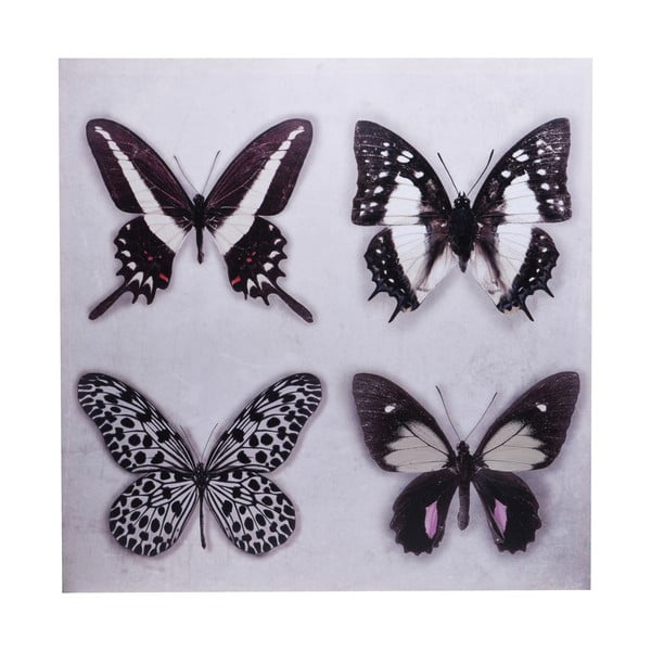 Obraz Ewax Black Butterflies, 60 x 60 cm