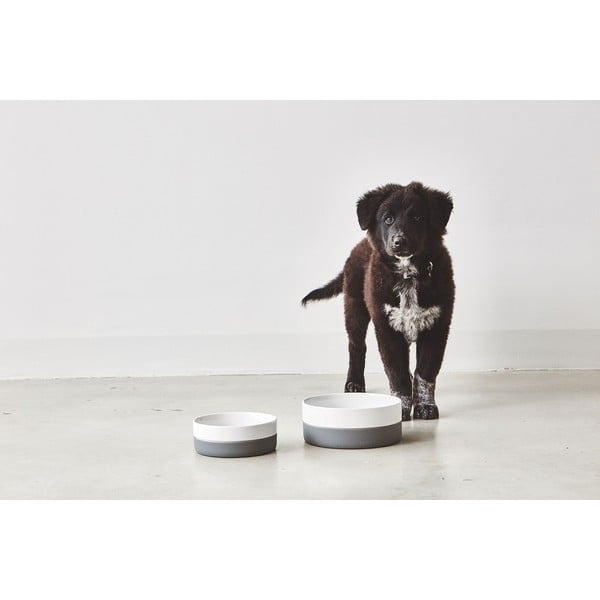 Portselanist kauss koerale ø 21,5 cm Coppa Slate M/L - MiaCara-image-1