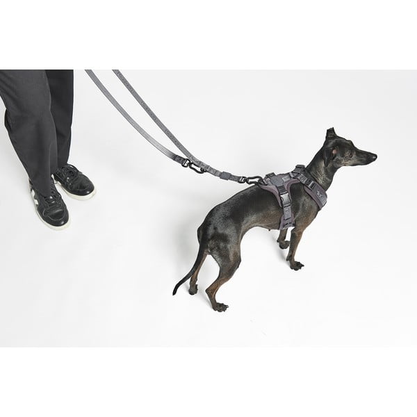 Beež rihm pikkus 200 cm Modena Greige 20 mm – MiaCara-image-1