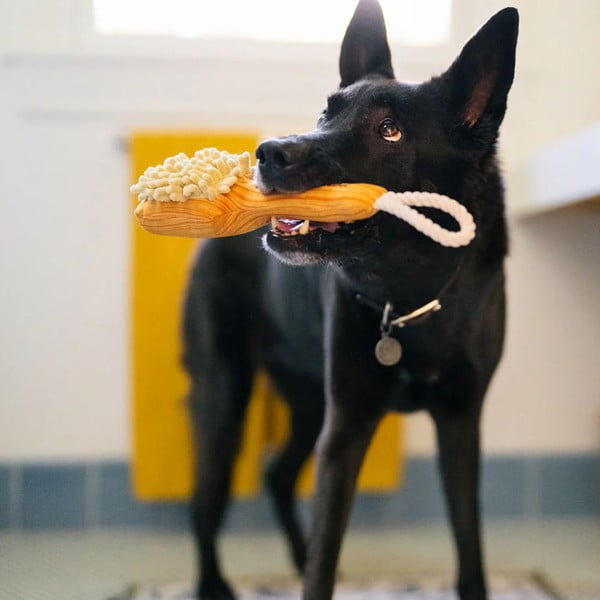 Mänguasi koerale Harja - P.L.A.Y.-image-1