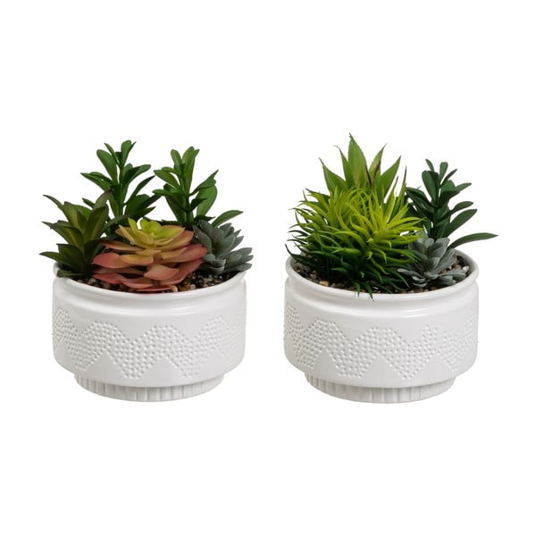 Kunsttaimed 2 tk (kõrgus 19 cm) Cactus - Casa Selección