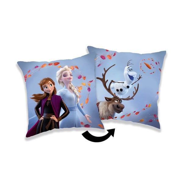 Fliisist laste padi 40x40 cm Frozen "Wind - Jerry Fabrics