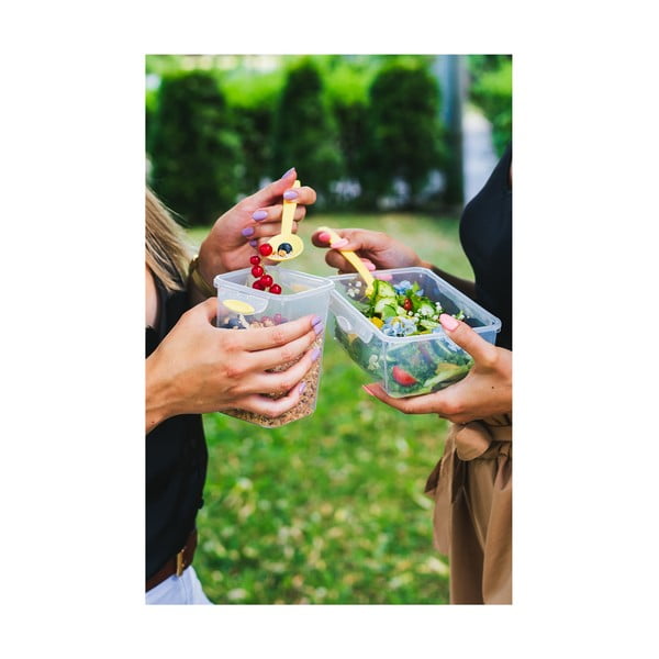 Roheline lõuna- ja suupistekarp koos söögiriistadega, , 650ml+230m Push&Push - Vialli Design-image-3