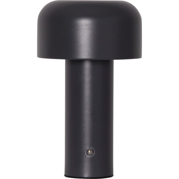 Hall LED-lauavalgusti (kõrgus 21,5 cm) Bobby - Star Trading