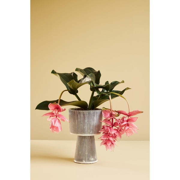 Keraamika lillepoti katted komplektis  2 tk ø 15 cm Pot – Hübsch-image-4