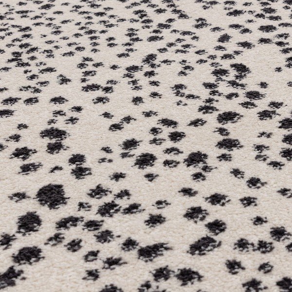 Must-valge vaip 160x230 cm Muse - Asiatic Carpets-image-2