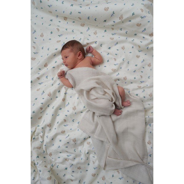 Kreemikas laste üheinimesevoodipesu orgaanilisest puuvillast 140x200 cm Blueberries - Cam Cam Copenhagen-image-2