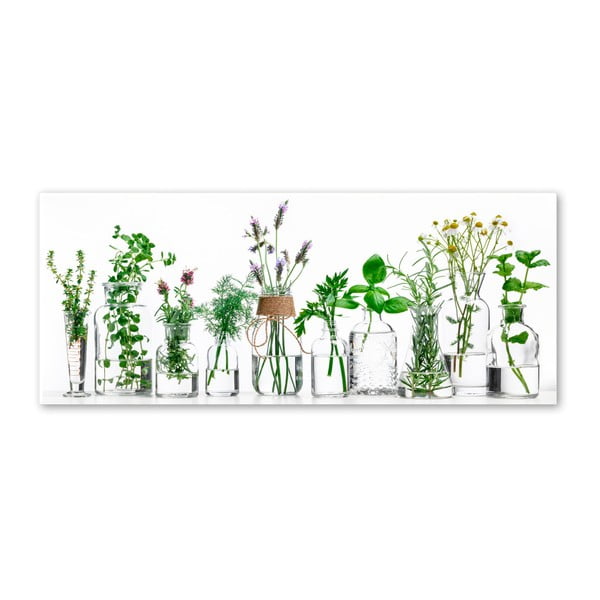 Pilt Glasspik , 30 x 80 cm Herbs - Styler