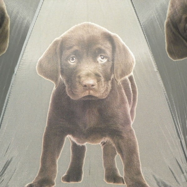 Deštník Mars&More Labrador Chocolate-image-2