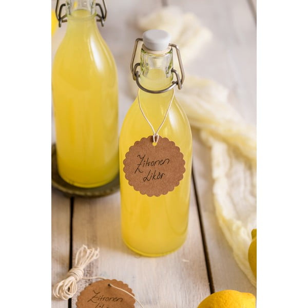 Klaaspudel klipi ja pitseriga Swing, 520 ml Swing Top Jar - Dr. Oetker-image-4