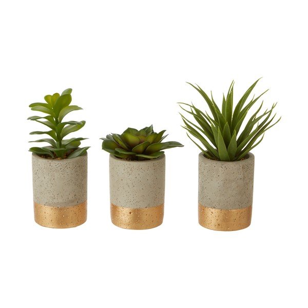 Sada 3 sukulentů v keramickém květináči Premier Housewares Fiori-image-1