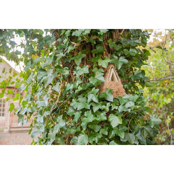 Puidust linnumaja Camouflage - Esschert Design-image-1