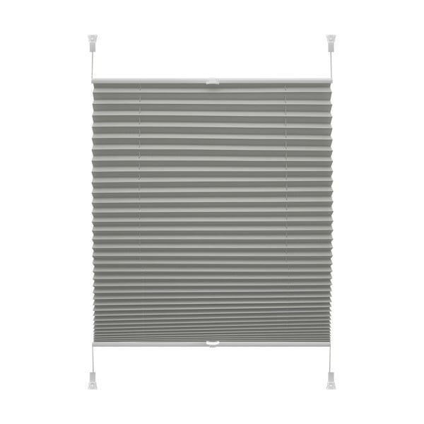 Hall ruloo 97x150 cm Plisé Verona Termo - Gardinia