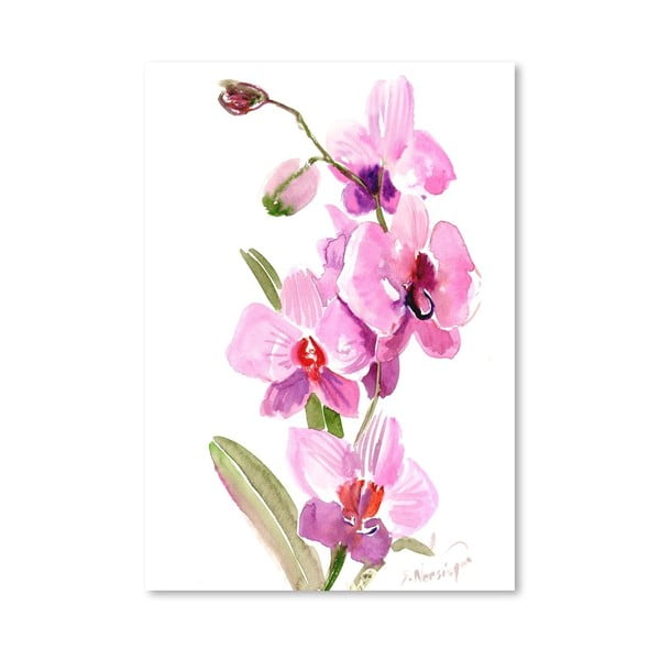 Plakát Orchids Pink