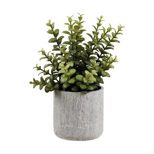 Kunstlill (kõrgus 33,5 cm) Succulent - House Nordic