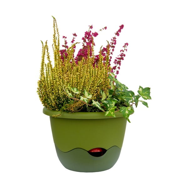 Roheline isekastuv rippkann Mareta, pikkus 25 cm - Plastia-image-2