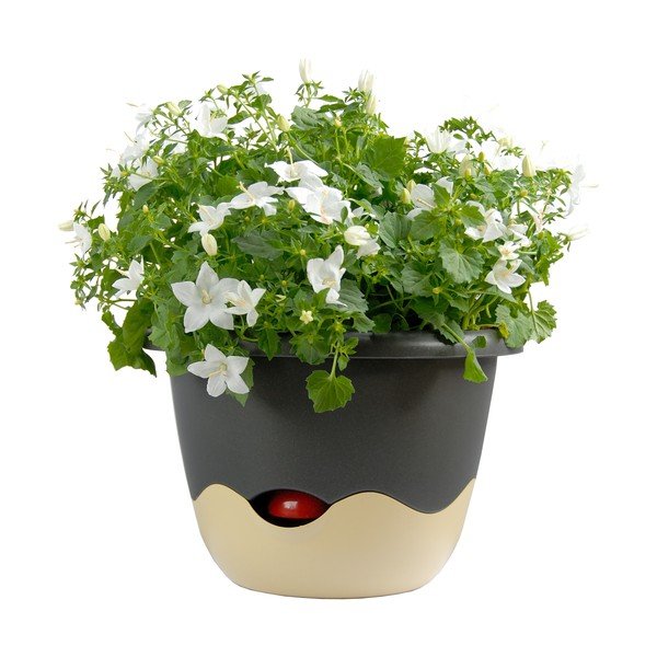 Sinine ja valge isevoolav rippkann Mareta, pikkus 30 cm - Plastia-image-3