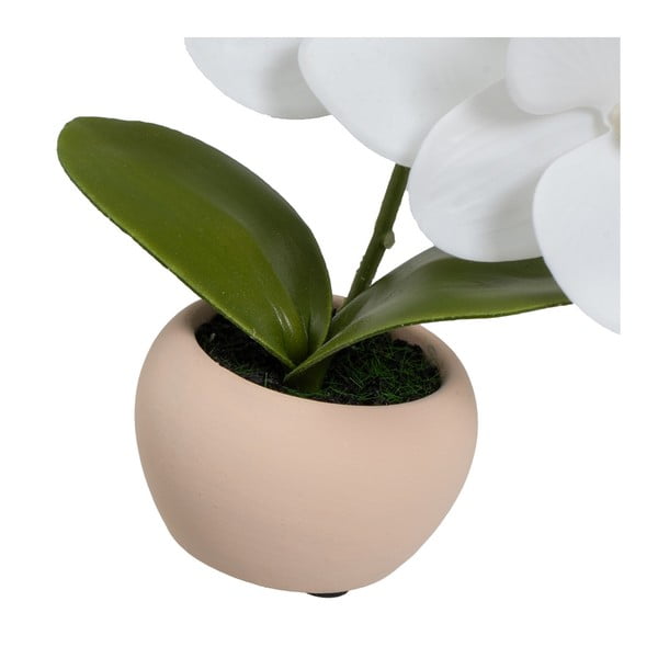 Kunsttaimed 3tk komplektis (kõrgus 15 cm) Orchid - Casa Selección-image-4