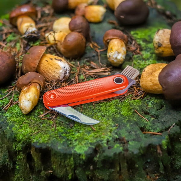 Taskunuga Move - Tescoma-image-1