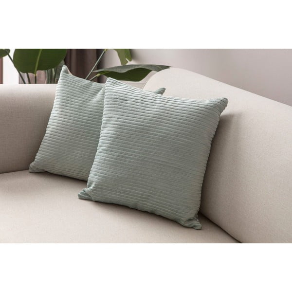 Velvetist padjakatted 2tk komplektis 43x43 cm - Mioli Decor-image-2
