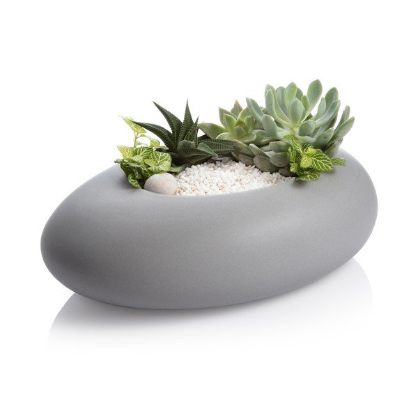 Keraamika lillepoti kate Fancy Home – Tescoma-image-3