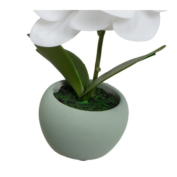 Kunsttaimed 3tk komplektis (kõrgus 15 cm) Orchid - Casa Selección-image-3