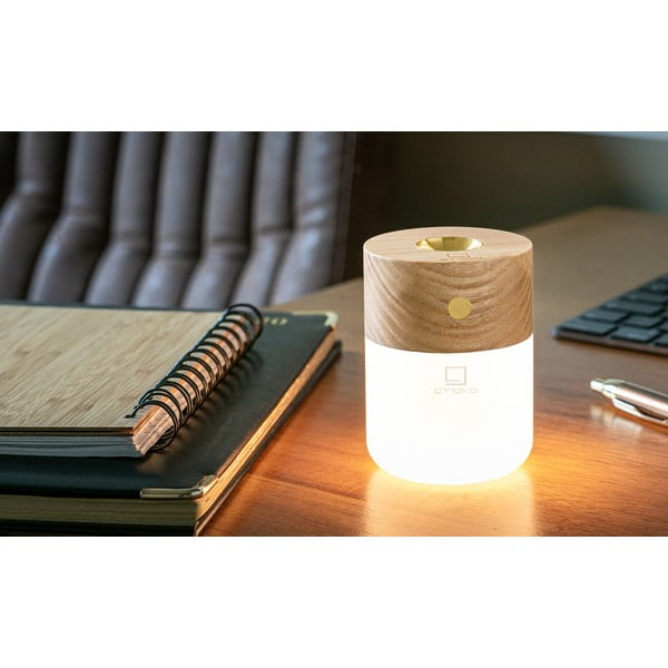 Elektriline kodulõhnastaja Smart – Gingko-image-4