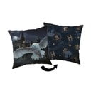 Laste padi 40x40 cm Harry Potter "Hogwarts" - Jerry Fabrics