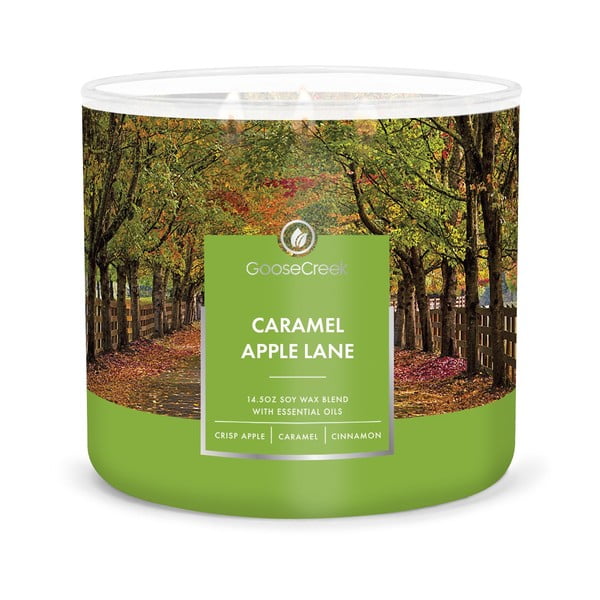 Lõhnaküünal, põlemisaeg 35 h Caramel Apple Lane - Goose Creek