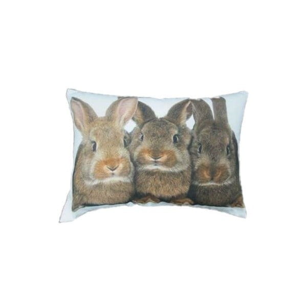Polštář Three Brown Rabbits 50x35 cm