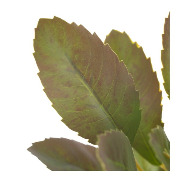 Kunstlik taim (kõrgus 37 cm) Lemon Tree - Ixia-image-2