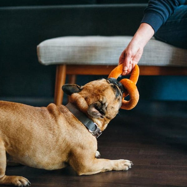 Mänguasi koerale Pretzel - P.L.A.Y.-image-1