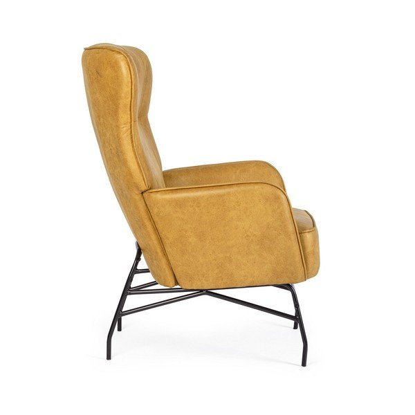 Sinepikarva kunstnahast tugitool Nasira - Bizzotto-image-3