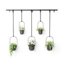 Plastikust lillepoti katted 5tk komplektis maitsetaimedele/riputamiseks ø 7,5 cm Triflora – Umbra