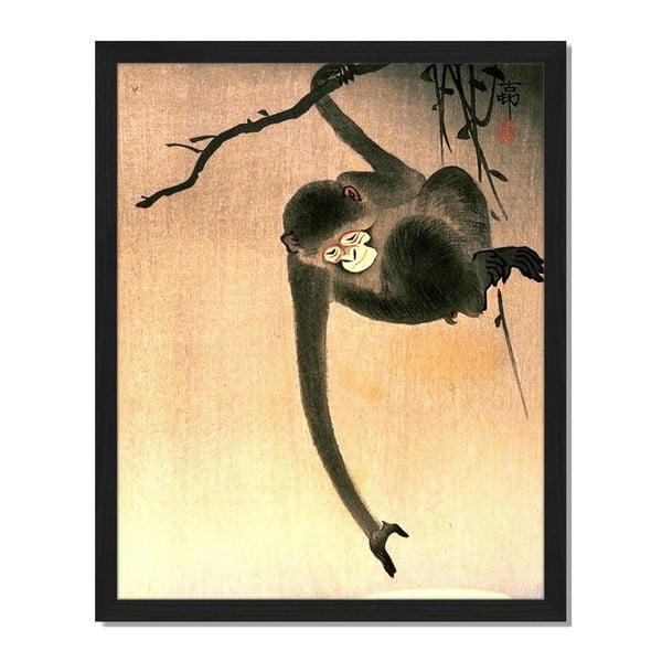 Obraz v rámu Liv Corday Asian Tree Monkey, 40 x 50 cm