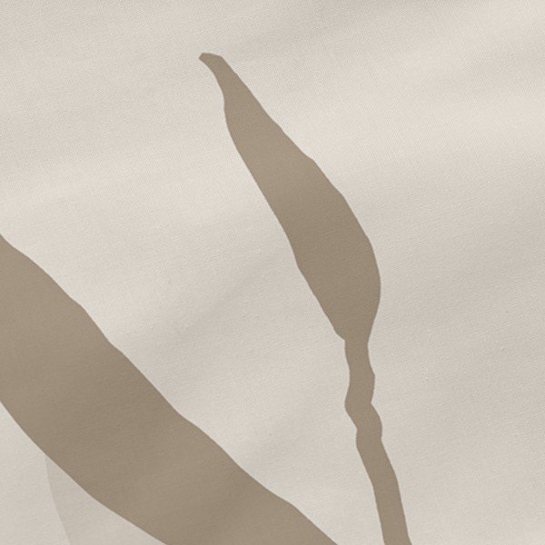 Puuvillased padjapüürid 2tk komplektis 50x75 cm Maple - Blanc-image-1