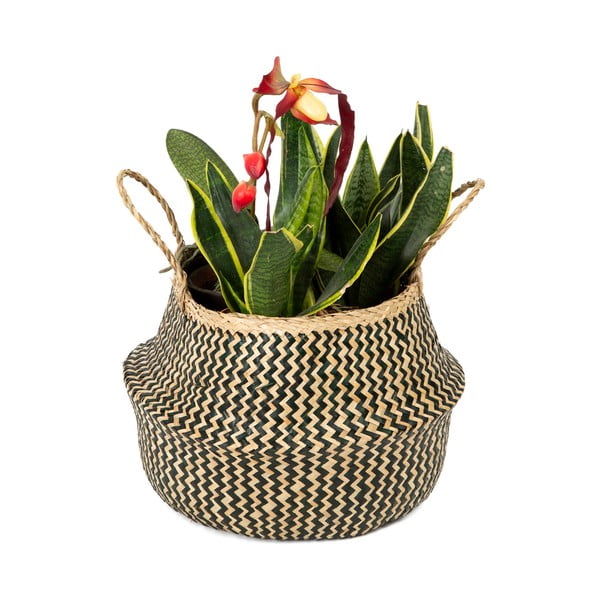 Seagrassist korv , ⌀ 35 cm Zic Zac - Compactor-image-1