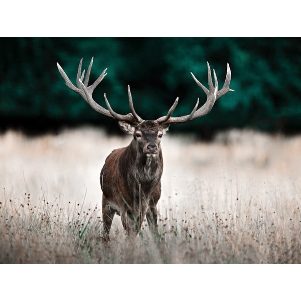 Maal 85x113 cm Deer - Styler