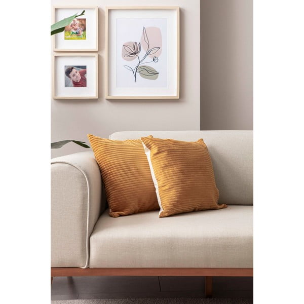 Velvetist padjakatted 2tk komplektis 43x43 cm - Mioli Decor-image-3